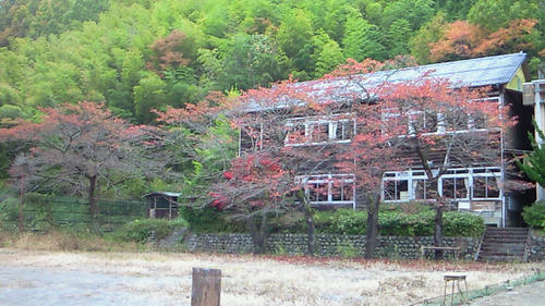 NEC_0061.JPG