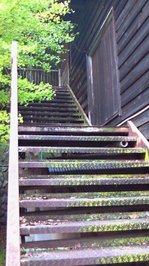 NEC_0065.JPG