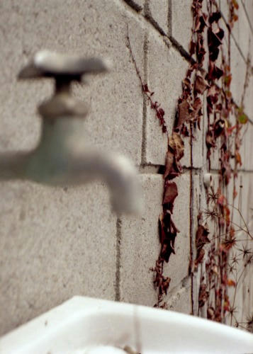 20081108y027.jpg