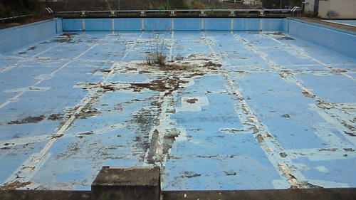 NEC_0055.JPG