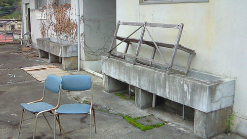 NEC_0057.JPG