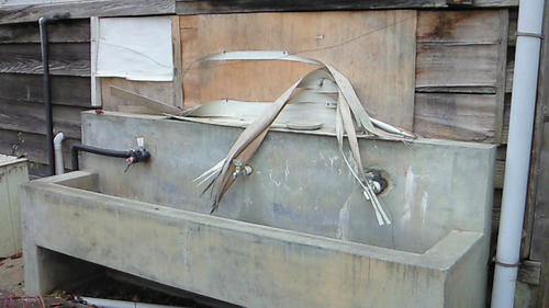 NEC_0064.JPG
