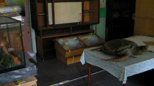 NEC_0072.JPG