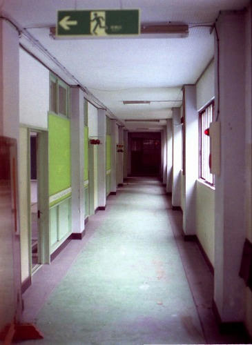 20081108y004.jpg
