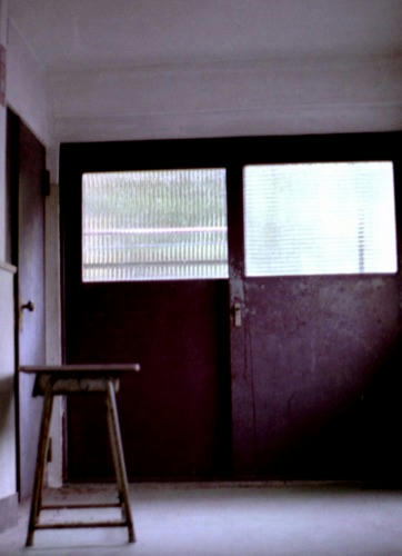20081108y019.jpg