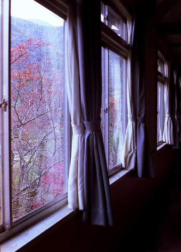20081108y005.jpg