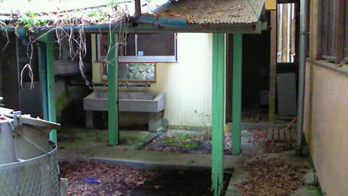 NEC_0092.JPG
