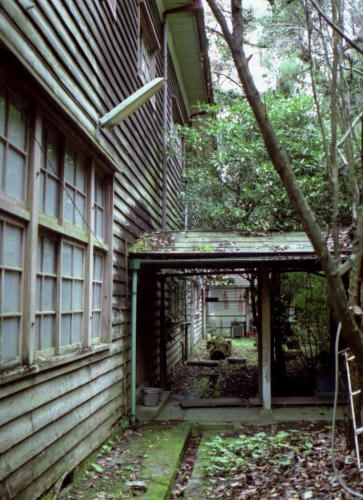 20081108y029.jpg