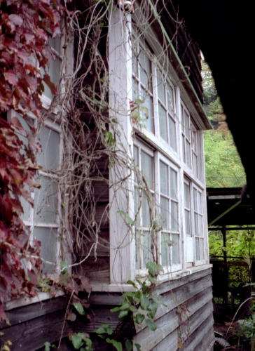 20081108y034.jpg