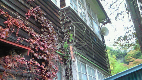 NEC_0104.JPG