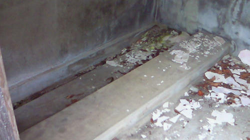 NEC_0110.JPG