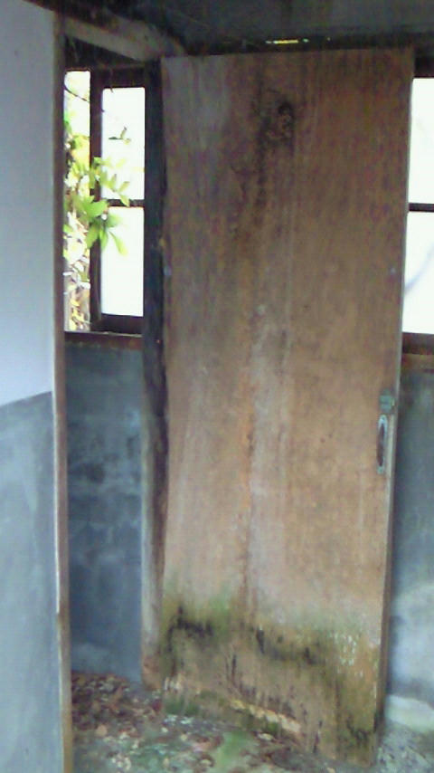 NEC_0112.JPG