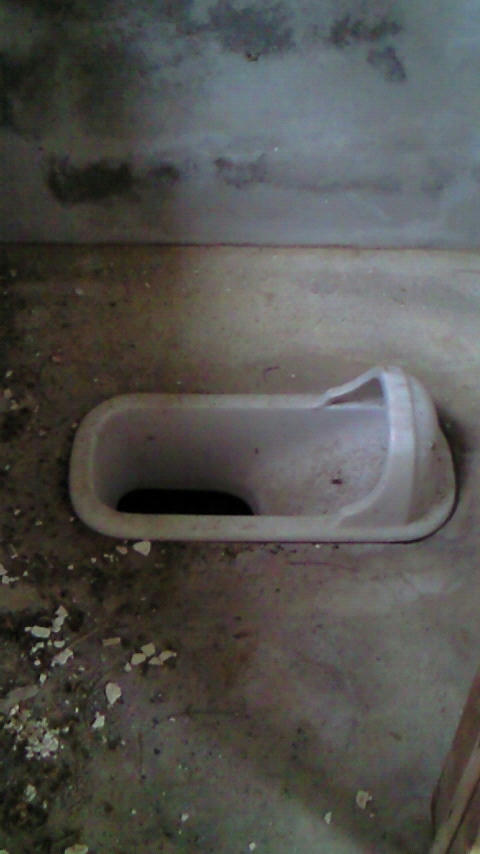 NEC_0114.JPG