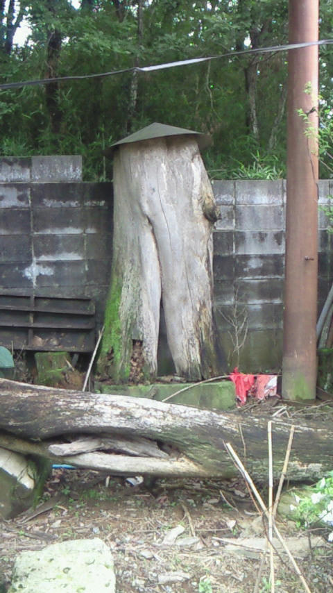 200907041447000.jpg