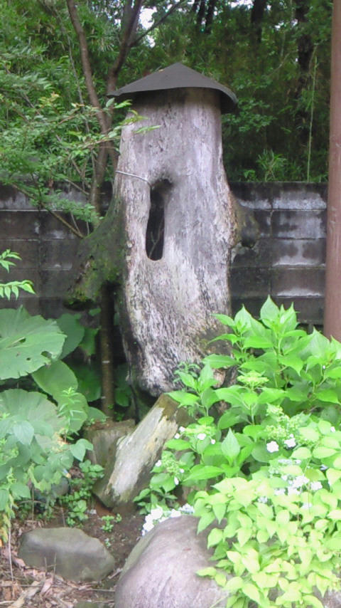 200907041447001.jpg