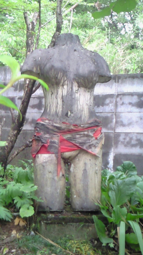 200907041448001.jpg