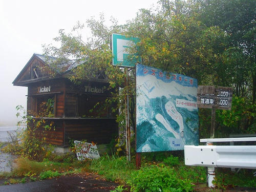 P1011175.jpg