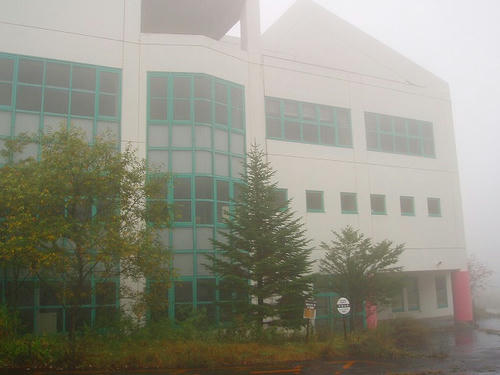 P1011524.jpg