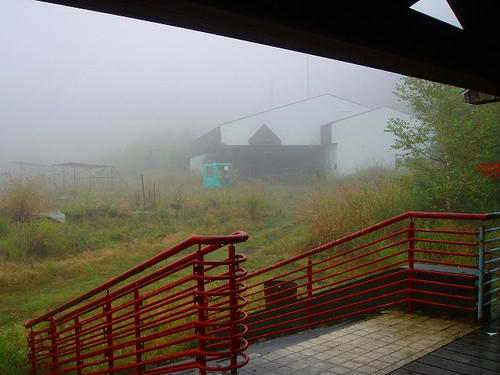 P1011510.jpg