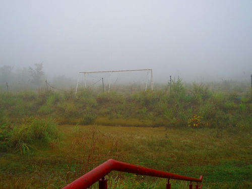 P1011517.jpg