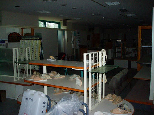 P1011504.jpg