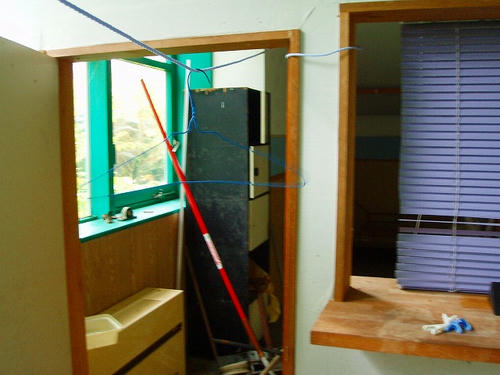 P1011269.jpg