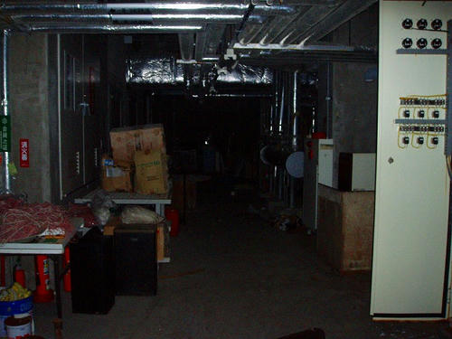P1011303.jpg