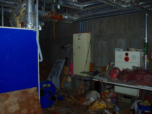 P1011304.jpg