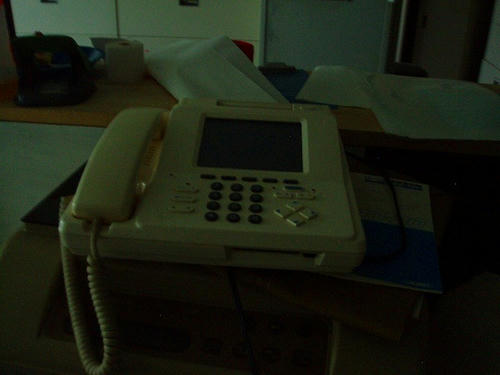 P1011282.jpg