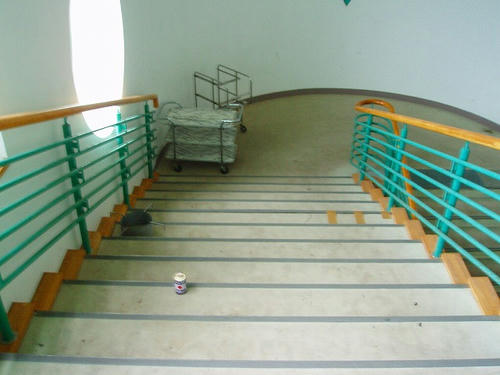 P1011486.jpg