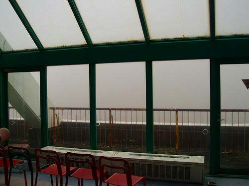 P1011420.jpg