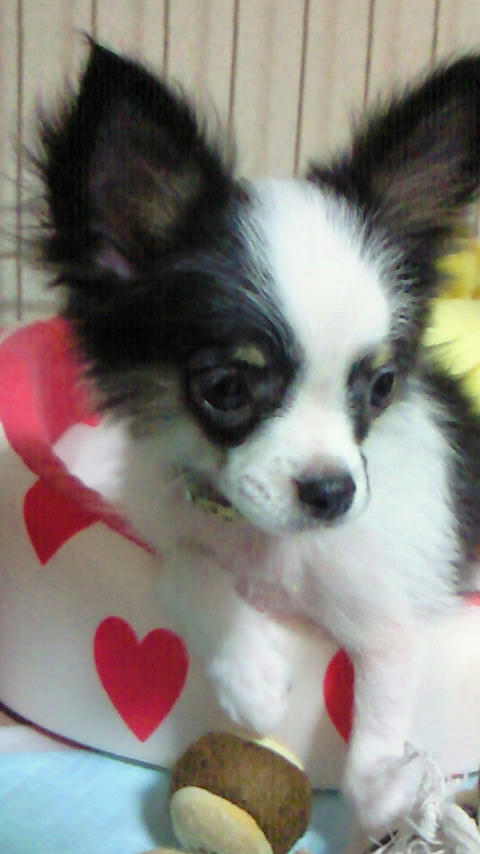 201003191911002.jpg