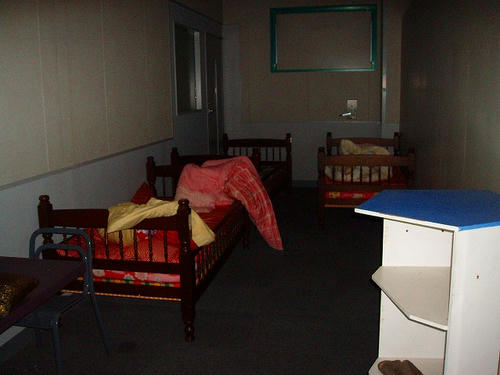 P1011431.jpg