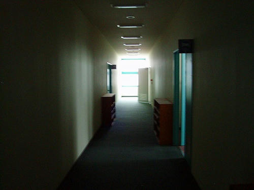 P1011464.jpg