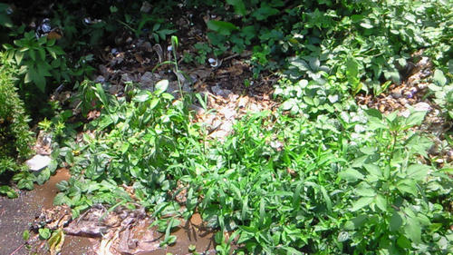 200908031218000.jpg