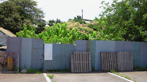 200908031223002.jpg