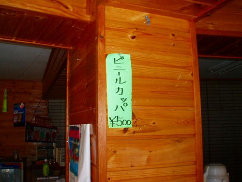 P1011068.jpg
