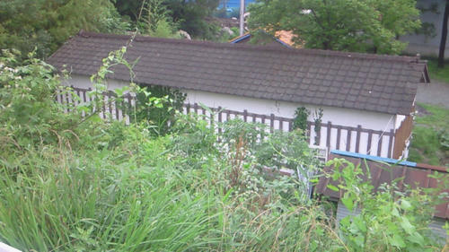 200907041430000.jpg