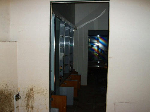 P1010064.jpg