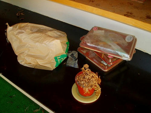 P1010058.jpg