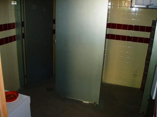 P1010083.jpg