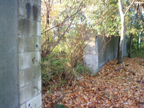 P1011336.JPG