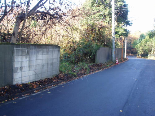 P1011412.JPG