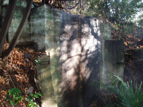 P1011355.JPG