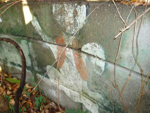 P1011367.JPG
