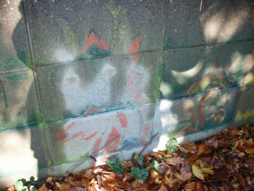 P1011371.JPG