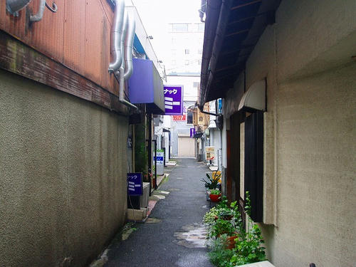 P1010960.jpg