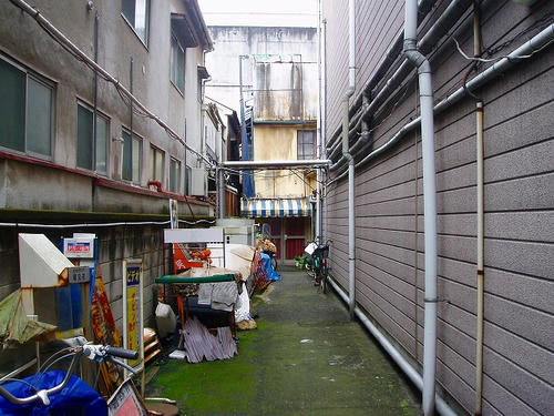 P1011004.jpg