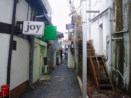 P1010952.jpg