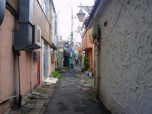 P1010995.jpg